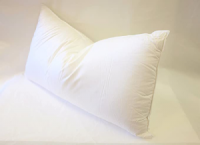 East Coast Bedding European White Goose Down Pillow
