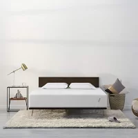 Tuft-and-Needle-Queen-Mattress-1