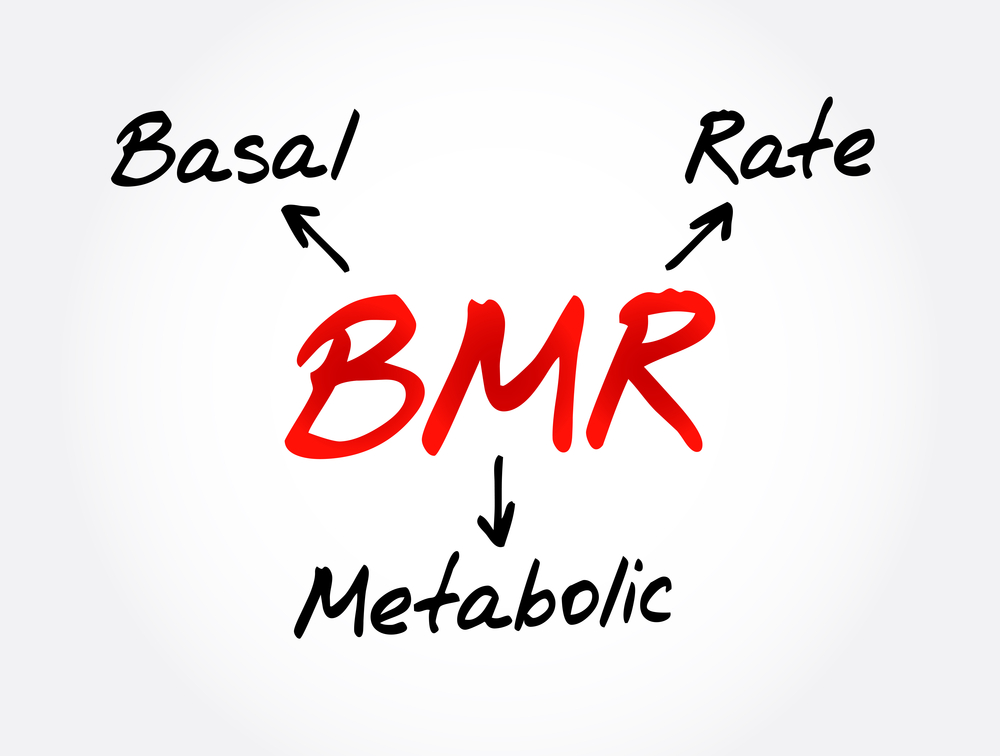 Understanding Basal Metabolic Rate (BMR)