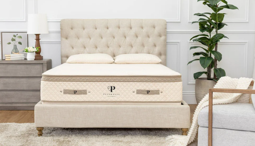 Vibe Mattress Vs. PlushBeds Luxury Bliss